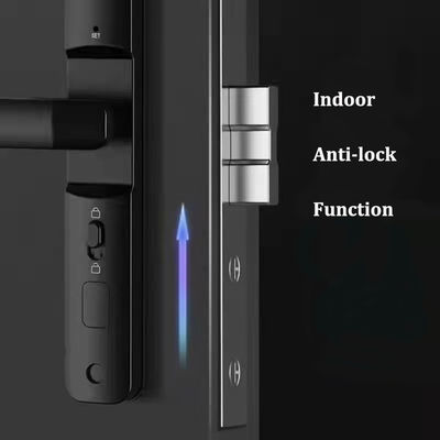 Black Zinc Alloy Smart Lock with Fingerprint WiFi Bluetooth for Aluminum Doors