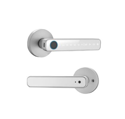 Qleung Smart Handle Lock S604N Fingerprint Password Card Key Unlocking Tuya Smart Home Lock