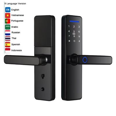 Умный замок с дистанционным управлением TTlock Tuya отпечаток пальца Внутренний замок двери