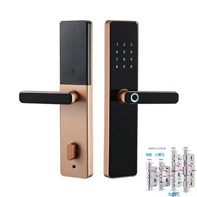 6068 Mortise TTlock Wifi Tuya Дверный замок с отпечатками пальцев и паролем