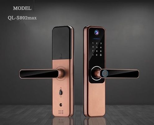 Устойчивый отпечаток пальца с щелочной батареей Tuya Bluetooth отпечаток пальца дверной замок