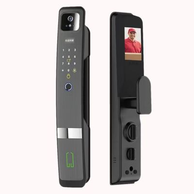 Qleung S924MAX Биометрический отпечаток с HD Камерой Цифровое дистанционное управление Умный замок двери