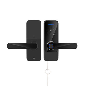 S810 Интеллектуальная блокировка отпечатков пальцев Wifi-ключи Простой дверной замок Tuya Отпечаток пальцев TTlock Умный домашний дверной замок