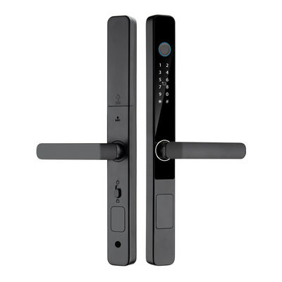 Цифровая наружная IP65 водонепроницаемая отпечатка пальца пароль с Tuya TTlock App удаленное разблокирование Smart Home Door Lock