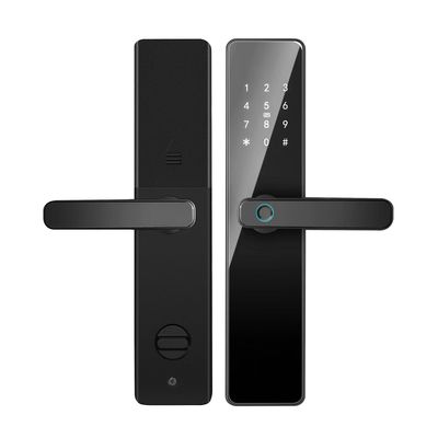Qleung S819 Алюминиевая дверь отпечатки пальцев Wi-Fi включенный Tuya TTlock с паролем Ключевая карта для дома