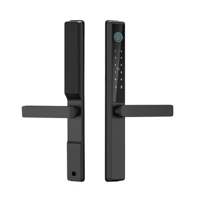 Уличный водонепроницаемый TTlock Tuya Wifi Smart Lock, карта, отпечаток пальца, пароль, раздвижной алюминиевый дверной замок