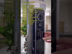 6068 Mortise Aluminum Alloy CNC Smart Wifi Door Lock с интерфоном 3D распознавания лиц